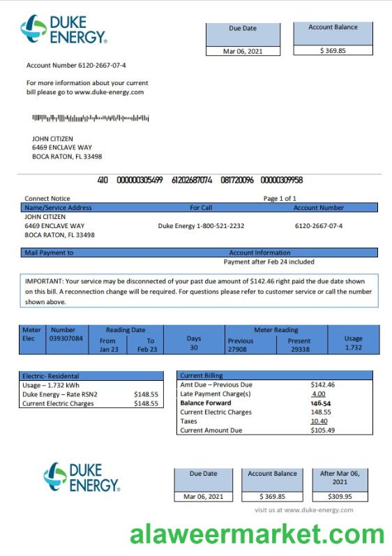 USA North Carolina Duke Energy utility bill template in Word and PDF format